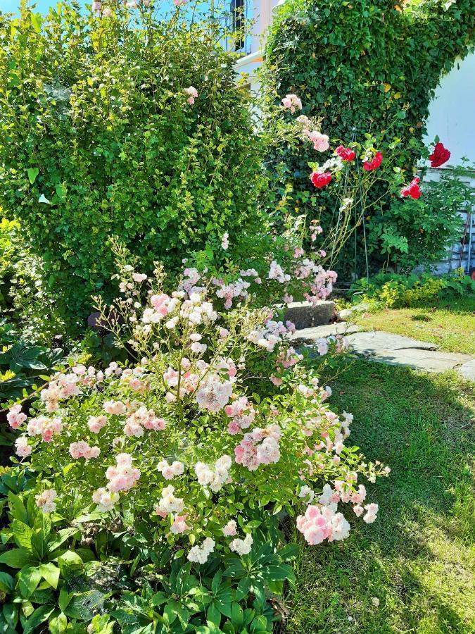Hotel/Pension Rosengarten 프랑킹 외부 사진